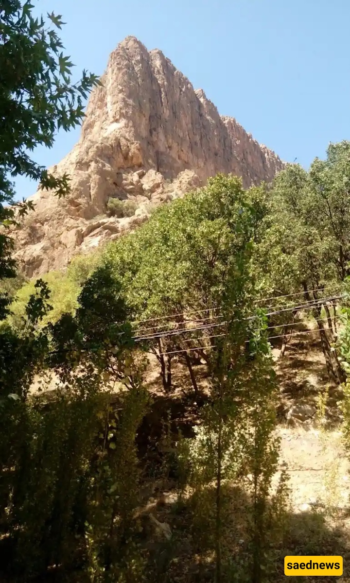 Shiraz Nature