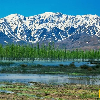 Choghakhor Lagoon: Iran’s Stunning Wetland of Global Significance