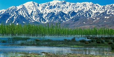 Choghakhor Lagoon: Iran’s Stunning Wetland of Global Significance