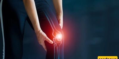 Discovery Of A Protein That Helps Treat Osteoarthritis