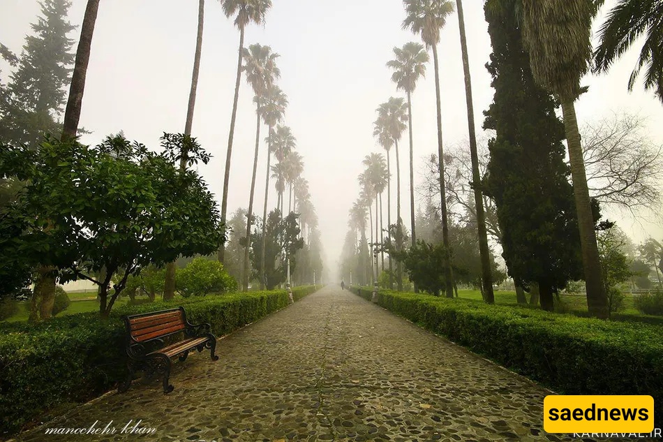 dalekhani forest