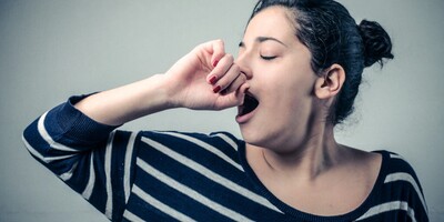Why Do Smarter Creatures Yawn Longer? The Surprising Link Between Yawning and Brainpower