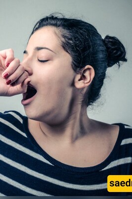 Why Do Smarter Creatures Yawn Longer? The Surprising Link Between Yawning and Brainpower
