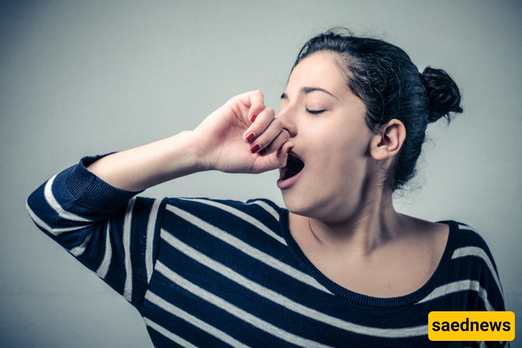 Why Do Smarter Creatures Yawn Longer? The Surprising Link Between Yawning and Brainpower