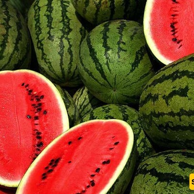 How to Choose the Ripest and Juiciest Watermelon for Your Yalda Celebration