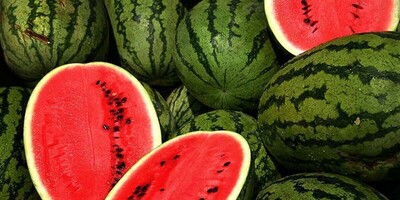 How to Choose the Ripest and Juiciest Watermelon for Your Yalda Celebration