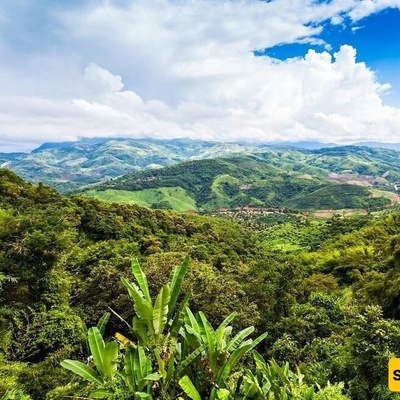 Rare Sighting of a ‘Grasshopper’ Last Seen 85 Years Ago