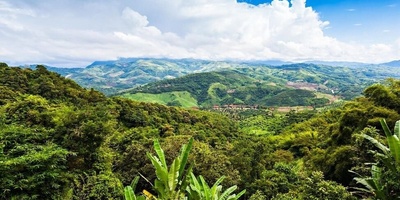 Rare Sighting of a ‘Grasshopper’ Last Seen 85 Years Ago