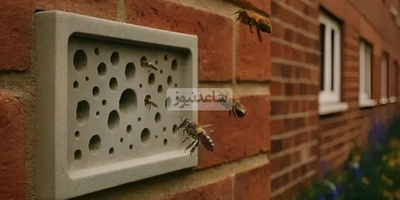 Even Bees Have Housing in England! How Unique British Architecture Lets Nature and People Coexist