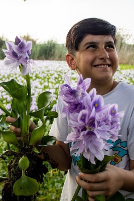 Water Hyacinth Wetland of Babol, Iran