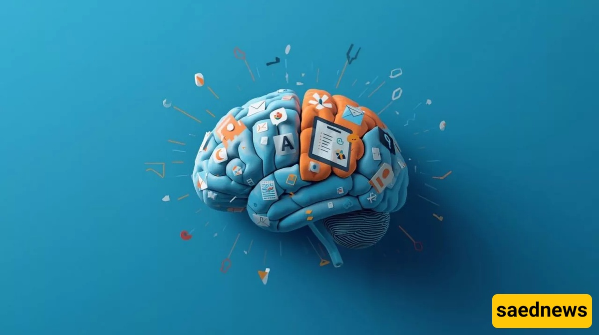 Brain 