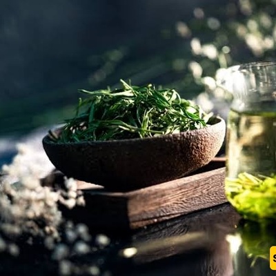 How to Make Homemade Tarragon Vinegar and Discover Its Remarkable Benefits