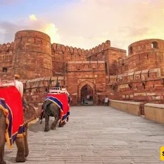 Agra Fort Visitor Guide