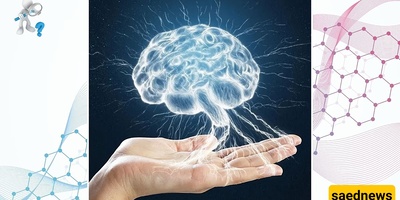Can the Human Brain Predict Everything?