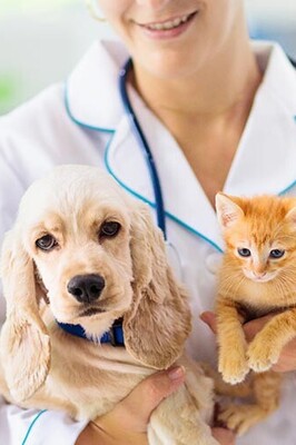 Essential Pet Care Tips and Tricks for Cats and Dogs: New Pet Owner? No Worries!