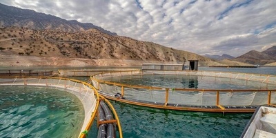 Tehran Hosts 9th International Fisheries Industry (IFEX) Exhibition