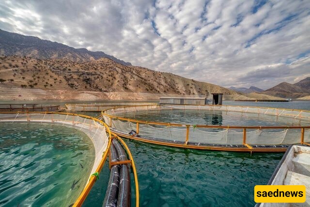 Tehran Hosts 9th International Fisheries Industry (IFEX) Exhibition