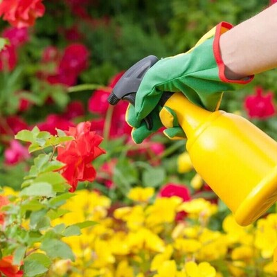 14 Best Homemade and Effective Pesticides: A Guide