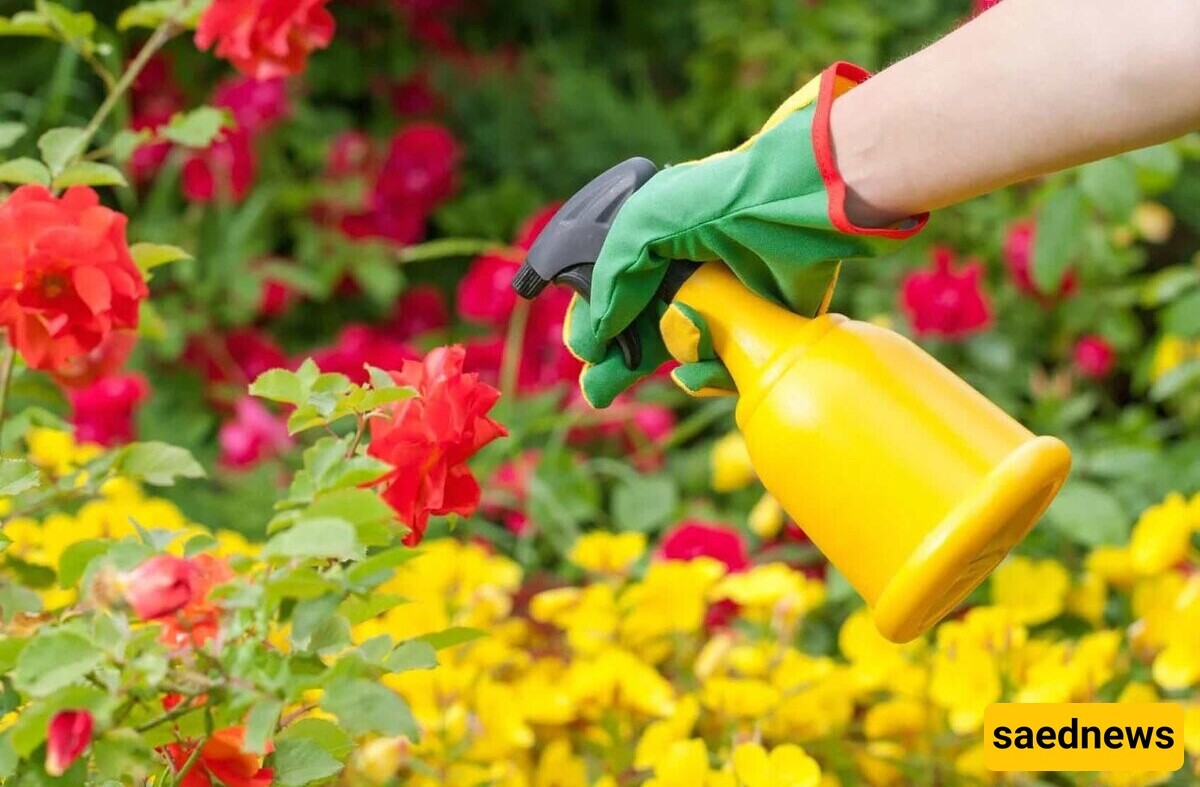 14 Best Homemade and Effective Pesticides: A Guide