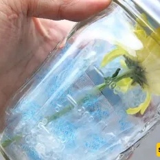 How to Dry Roses and Sunflowers: 5 Simple and Quick Methods at Home