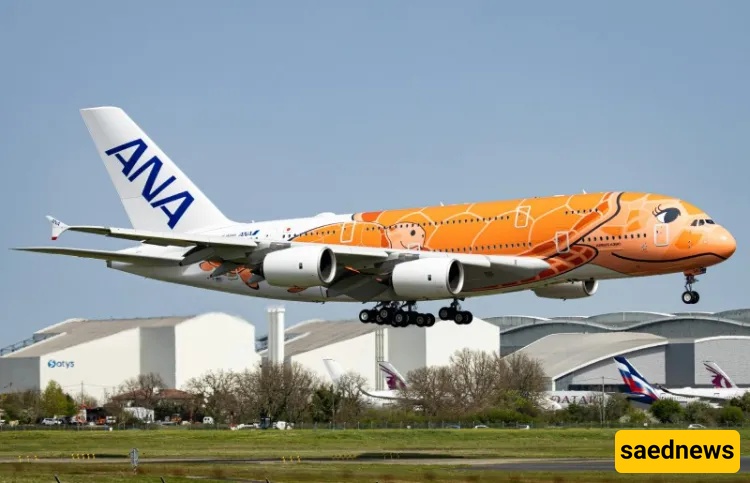 Airline