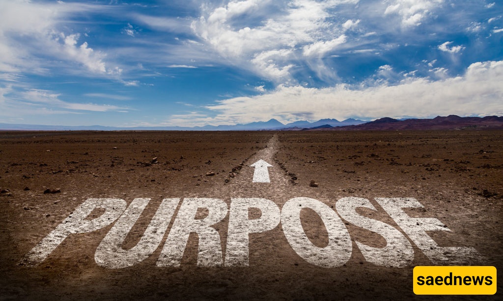 Purpose