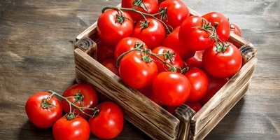 Get to Know the Calories, Nutritional Value, and Health Benefits of Tomatoes!