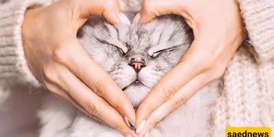 Meet 4 Adorable Pets You’ll Fall for in Your Apartment – From Cats to Hamsters + Photos