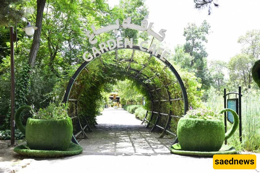Mashhadd Garden