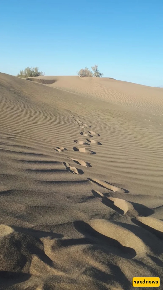 Tabas Desert