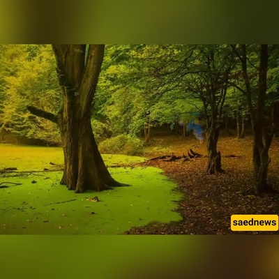 One-Day Travel Guide to Hesel Marsh