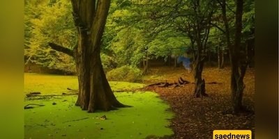 One-Day Travel Guide to Hesel Marsh
