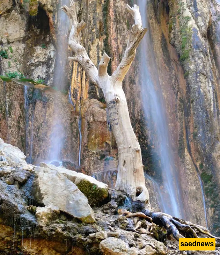 Shiraz Nature