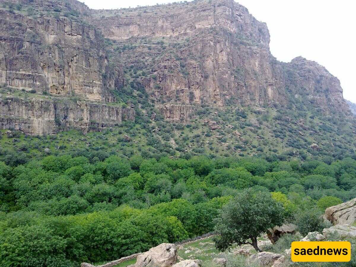 A Piece of Lost Paradise in This Part of Iran.