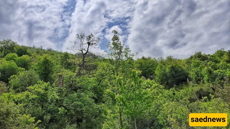 Drazno village