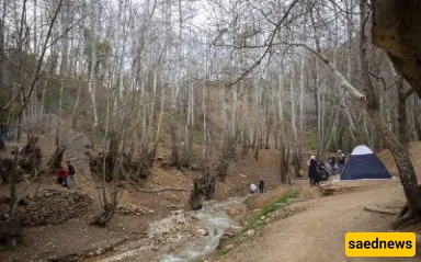 Qalat Village