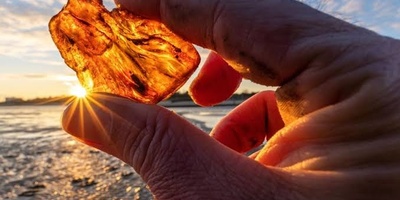Amber Stone Guide: History, Properties, and How to Identify Genuine Amber