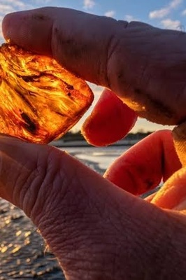 Amber Stone Guide: History, Properties, and How to Identify Genuine Amber