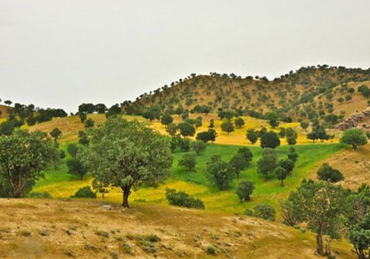 Shahrekord to Izeh road l