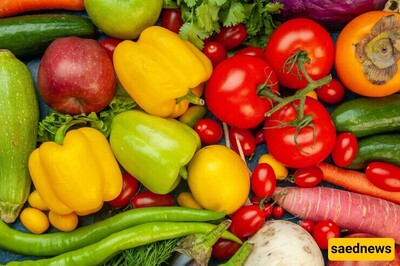 Top Tips for Long-Term Storage of Fresh Vegetables in the Refrigerator