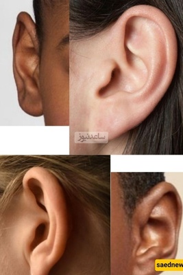 Incredible Facts About the Human Ear and the Surprising Effect of Words on the Brain — Train Your Ears and Watch Your Reality Change!”