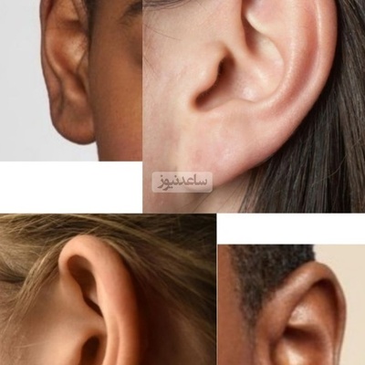 Incredible Facts About the Human Ear and the Surprising Effect of Words on the Brain — Train Your Ears and Watch Your Reality Change!”