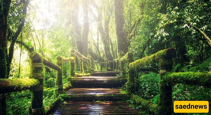 Saravan – The Birthplace of the Sun in Iran