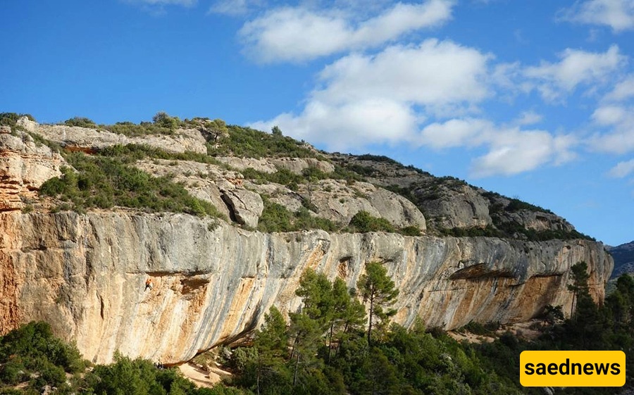 Margalef