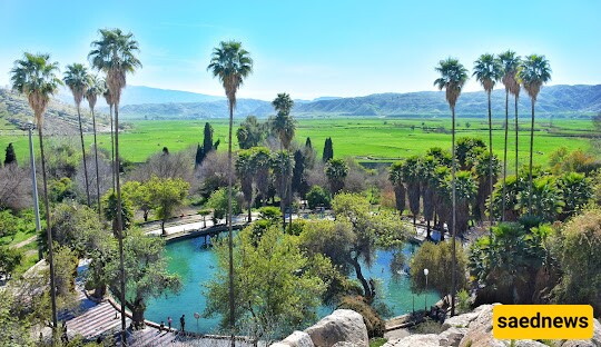 Wanna Try Heaven? Visit Cheshme Belghais Garden in Southwest Iran