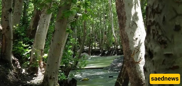 Naghandar Village