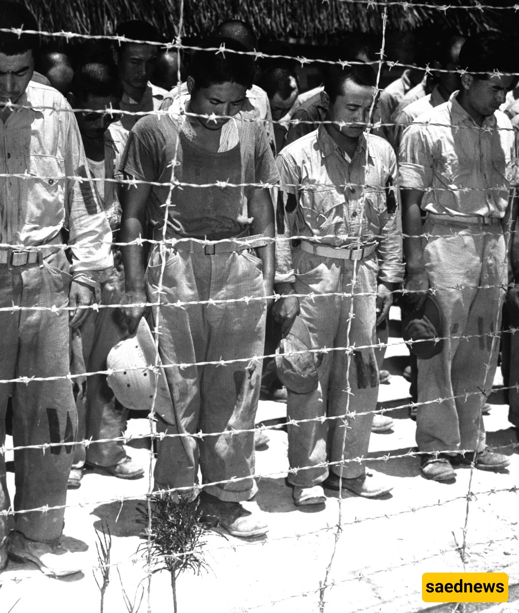 Japanese wartime culture