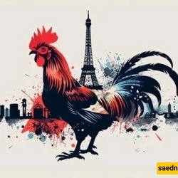 Why Is The Rooster the Symbol of France?