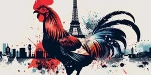 Why Is The Rooster the Symbol of France?