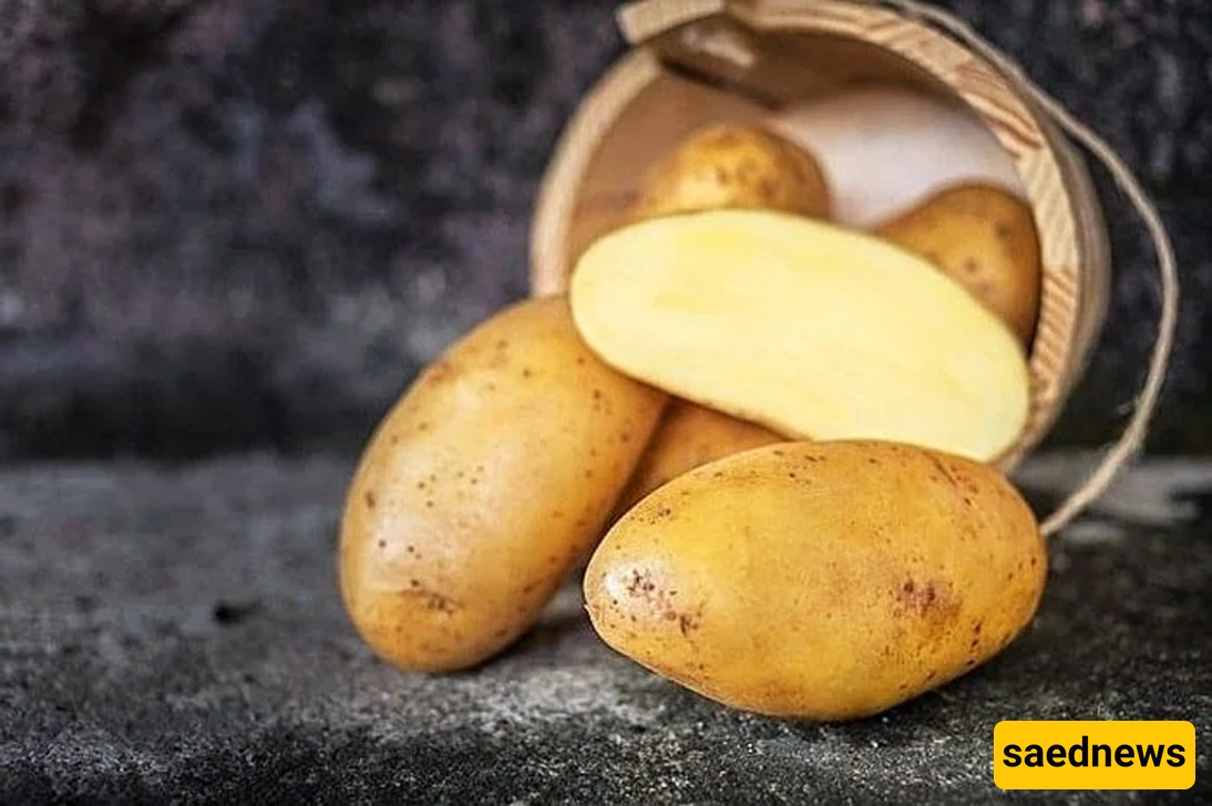 potato